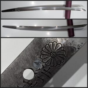 Hojoji Masateru katana