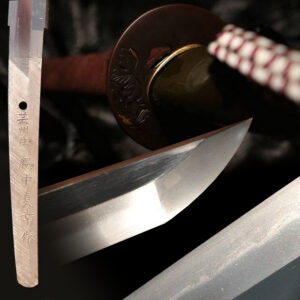 Gassan Sadayuki katana in koshirae
